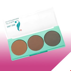 پالت سایه 3عددی شال کویین